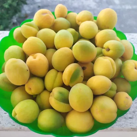 Agnese منزل ريفي *