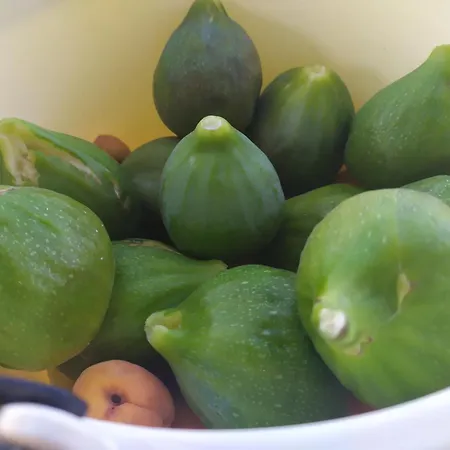 Agnese Séjour à la campagne *