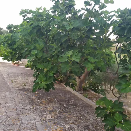 Agnese Séjour à la campagne