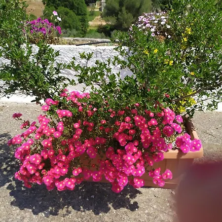 Agnese Séjour à la campagne *