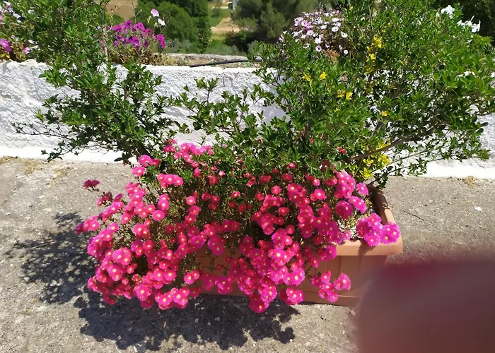 Agnese Gospodarstwo wiejskie *